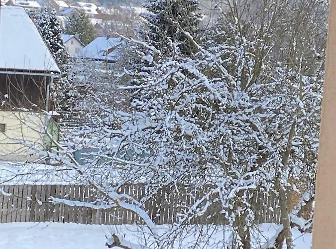 Daire Grosszuegig Und Komfortabel:ferienwohnung Im Bayerischen Wald!