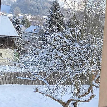 Apartment Grosszuegig Und Komfortabel:ferienwohnung Im Bayerischen Wald!